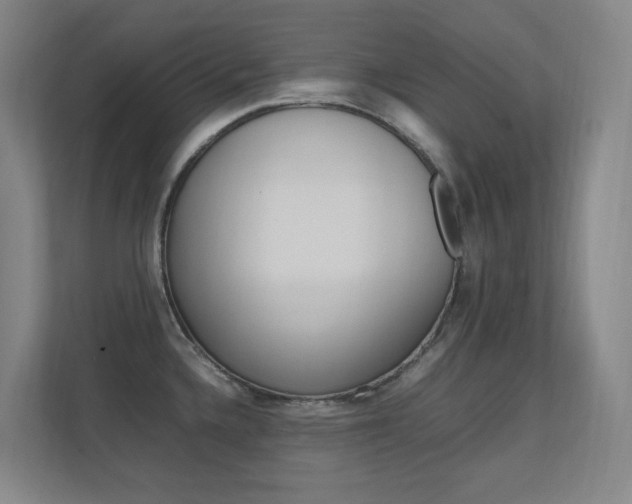 X0000112371336200908131247