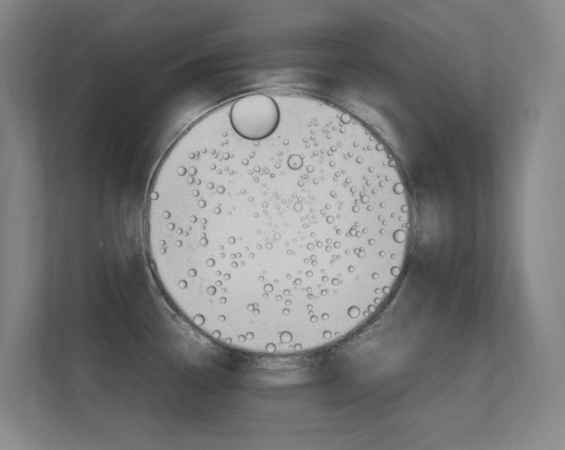 X0000112371338200908131247