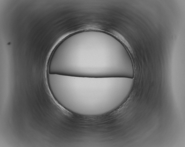 X0000112371339200908131247
