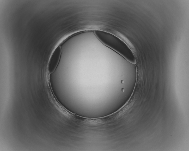 X0000112371340200908131247