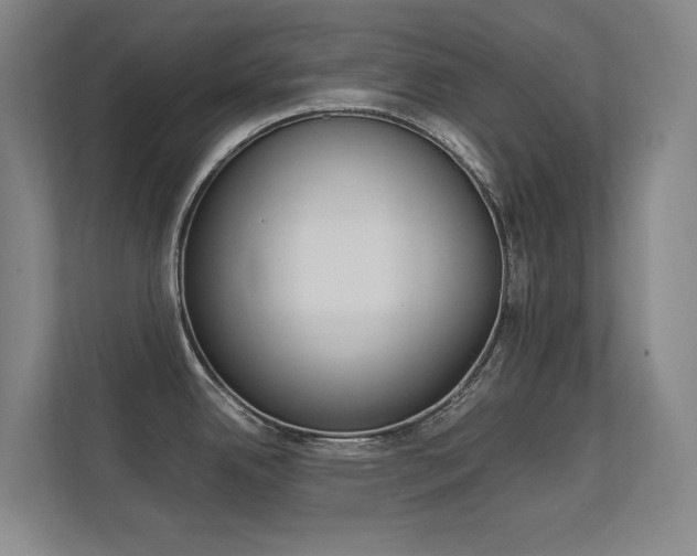X0000112371342200908131247