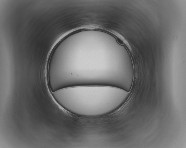 X0000112371343200908131247