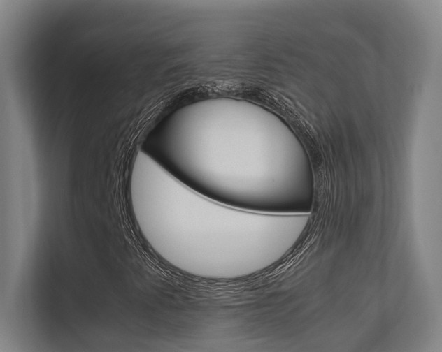X0000112371345200908131246