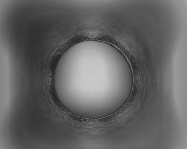 X0000112371349200908131246