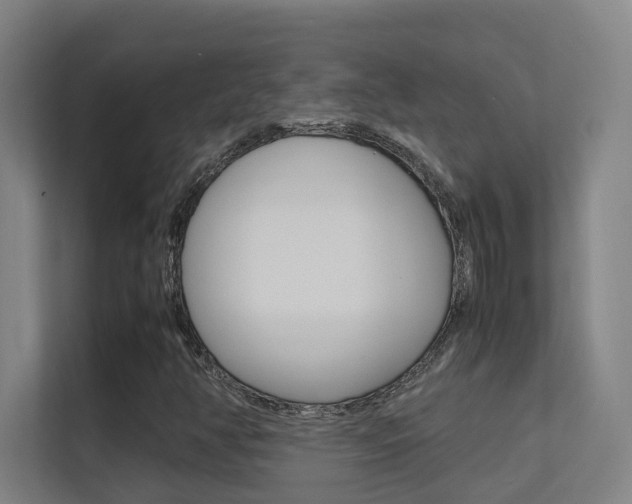 X0000112371350200908131246