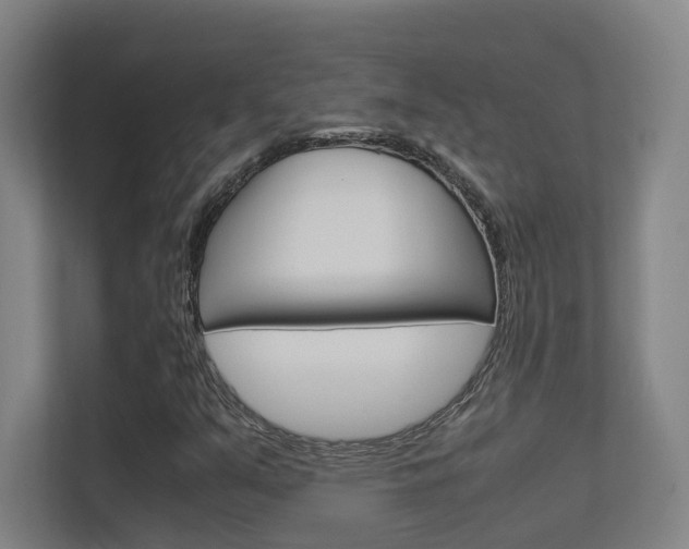 X0000112371351200908131246