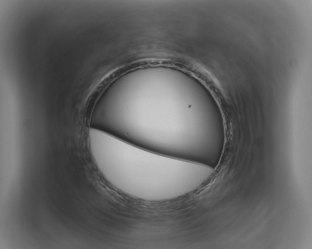 X0000112371352200908131246
