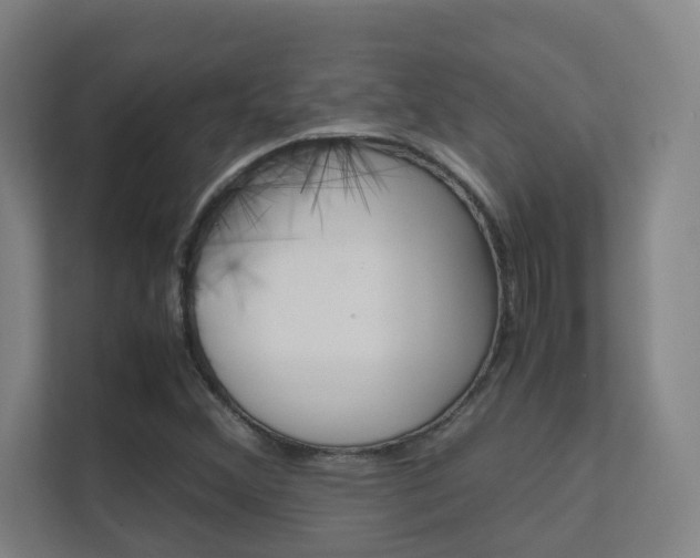 X0000112371356200908131246