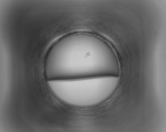 X0000112371359200908131246
