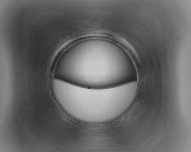 X0000112371360200908131246