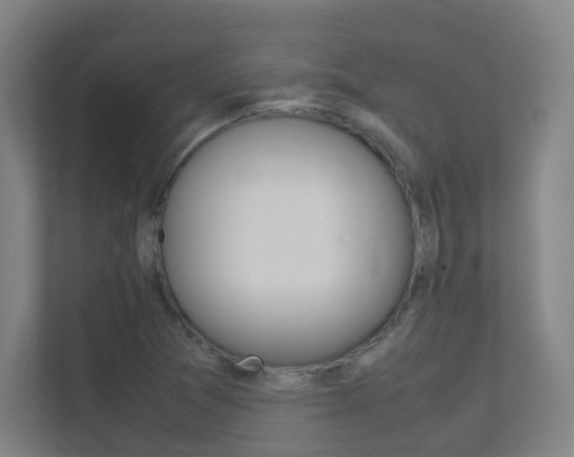 X0000112371361200908131246