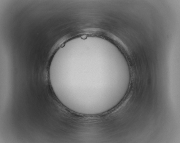 X0000112371362200908131246