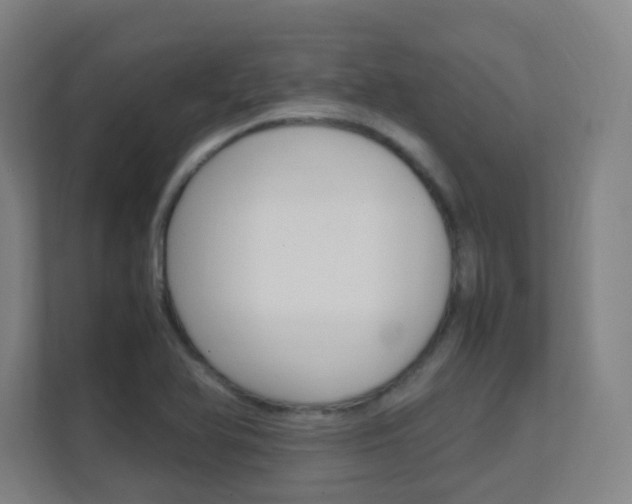 X0000112371366200908131246