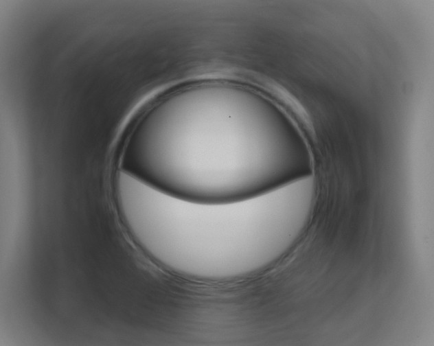 X0000112371368200908131246