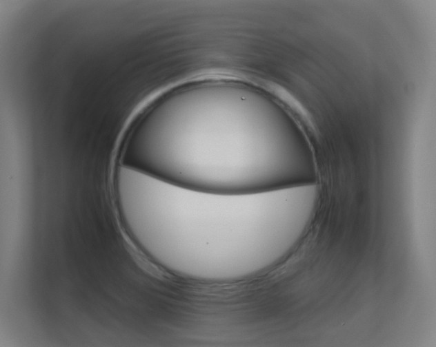 X0000112371372200908131246
