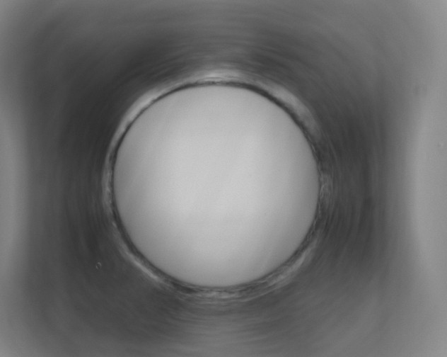 X0000112371374200908131246