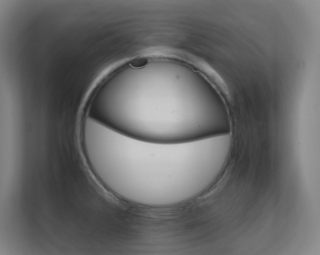 X0000112371376200908131246