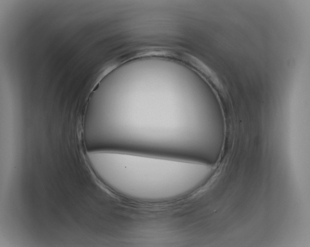 X0000112371377200908131246