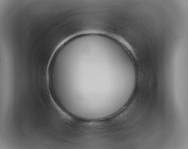 X0000112371380200908131246