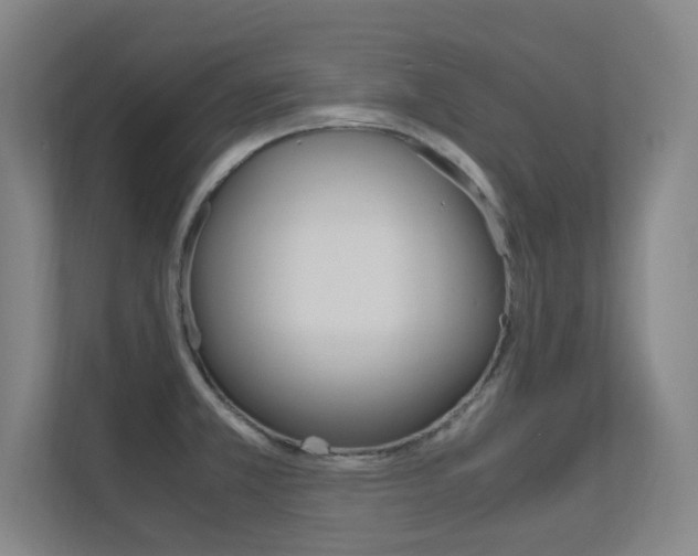X0000112371381200908131246