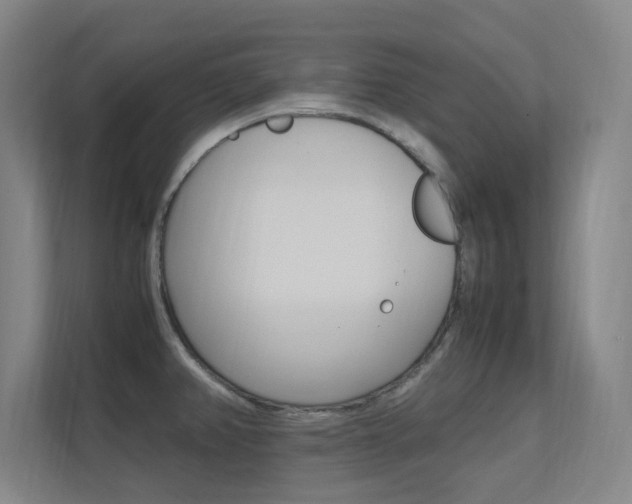 X0000112371382200908131246