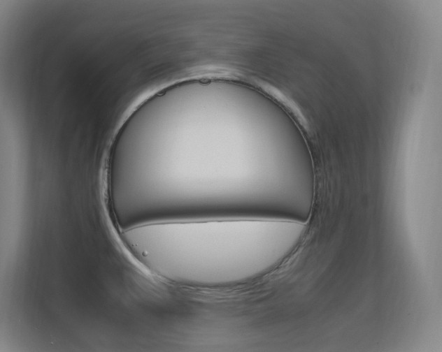X0000112371383200908131246