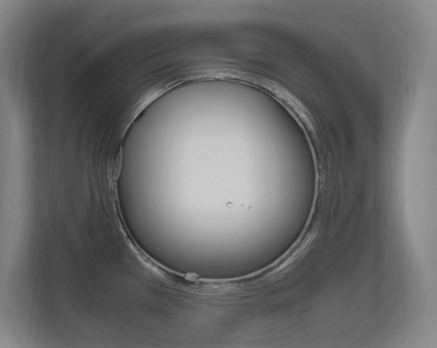 X0000112371385200908131246