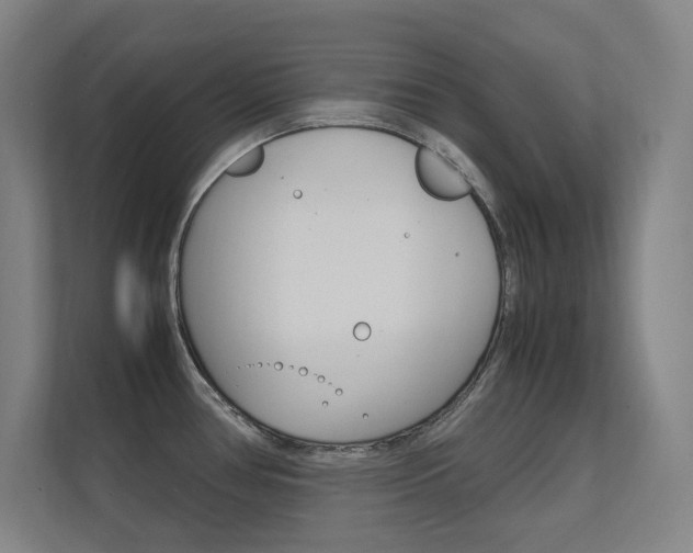 X0000112371386200908131246