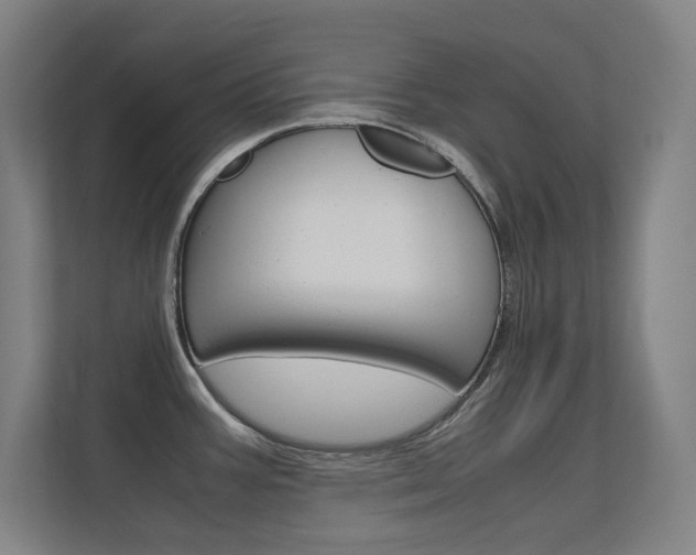 X0000112371387200908131245