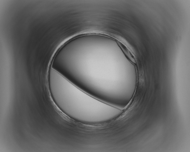 X0000112371388200908131245