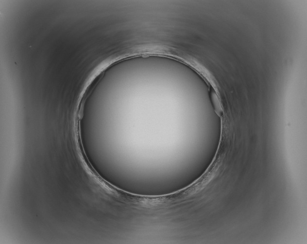 X0000112371389200908131245