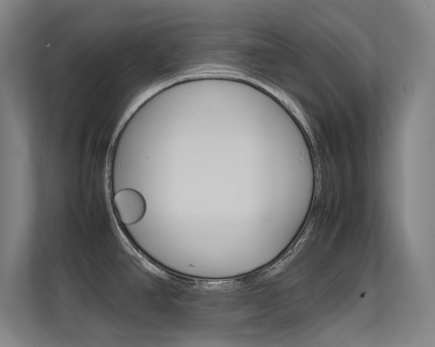 X0000112371390200908131245