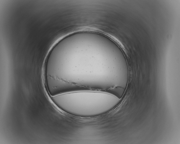 X0000112371391200908131245