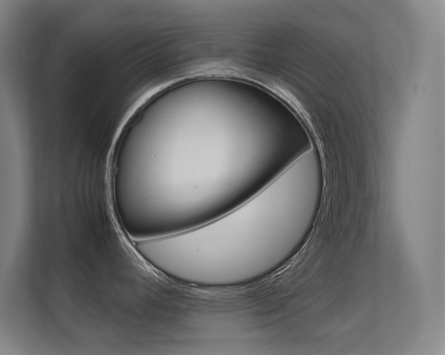 X0000112371392200908131245
