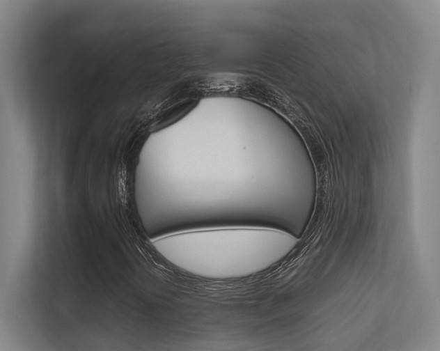 X0000112371394200908131245