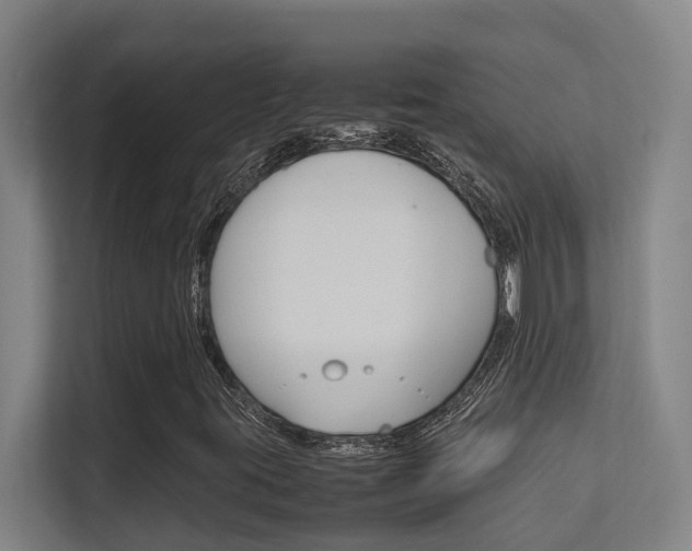 X0000112371395200908131245