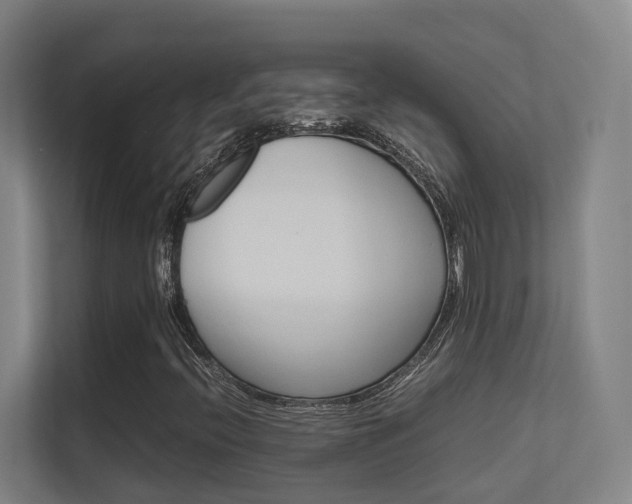 X0000112371396200908131245