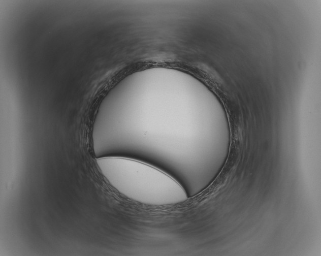 X0000112371398200908131245