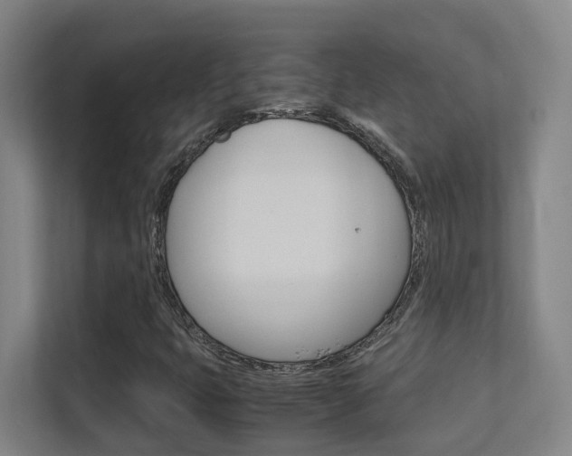X0000112371399200908131245