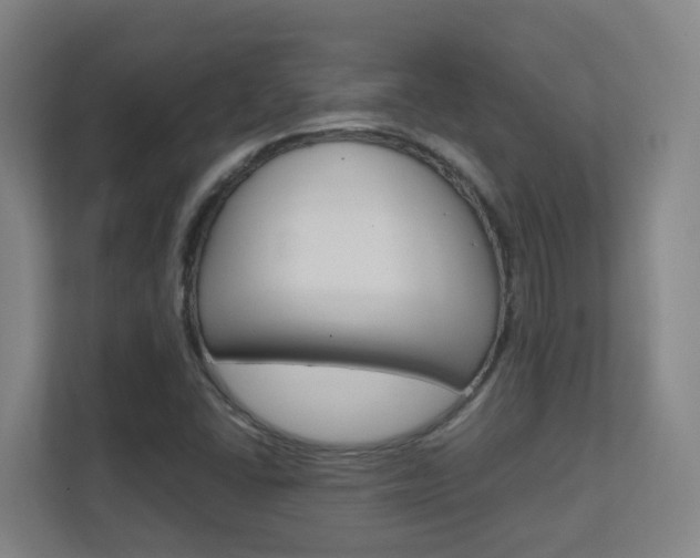X0000112371406200908131245