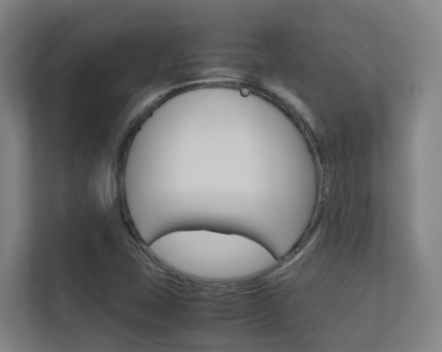 X0000112371407200908131245