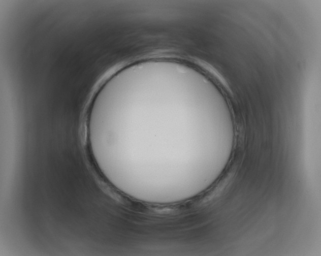 X0000112371413200908131245