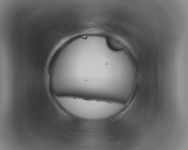 X0000112371414200908131245