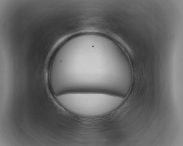 X0000112371416200908131245