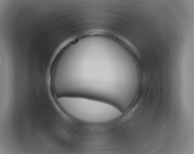 X0000112371418200908131245