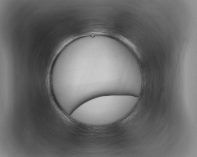 X0000112371423200908131245
