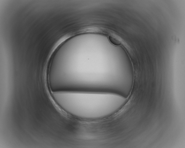 X0000112371426200908131245