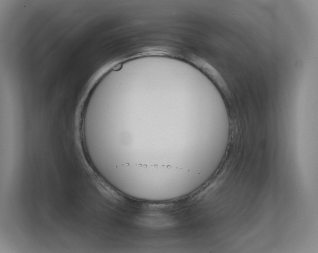 X0000112371427200908131245