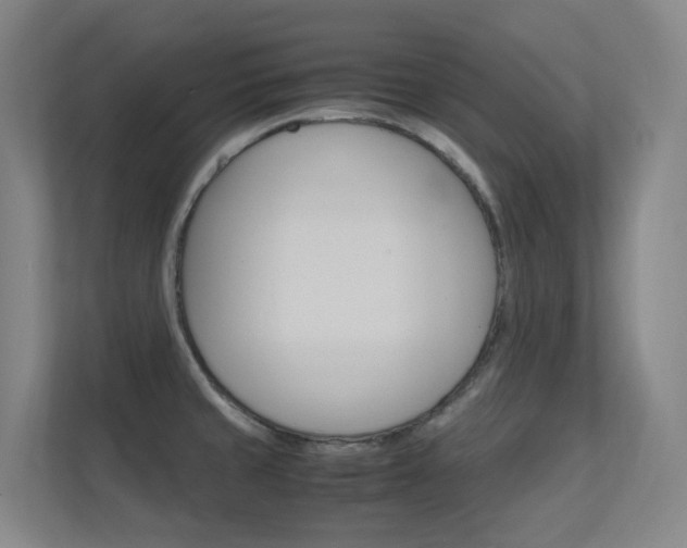 X0000112371429200908131245
