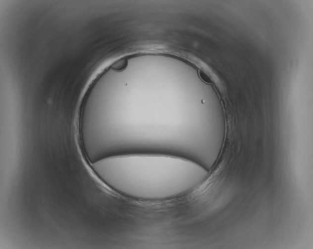 X0000112371432200908131245